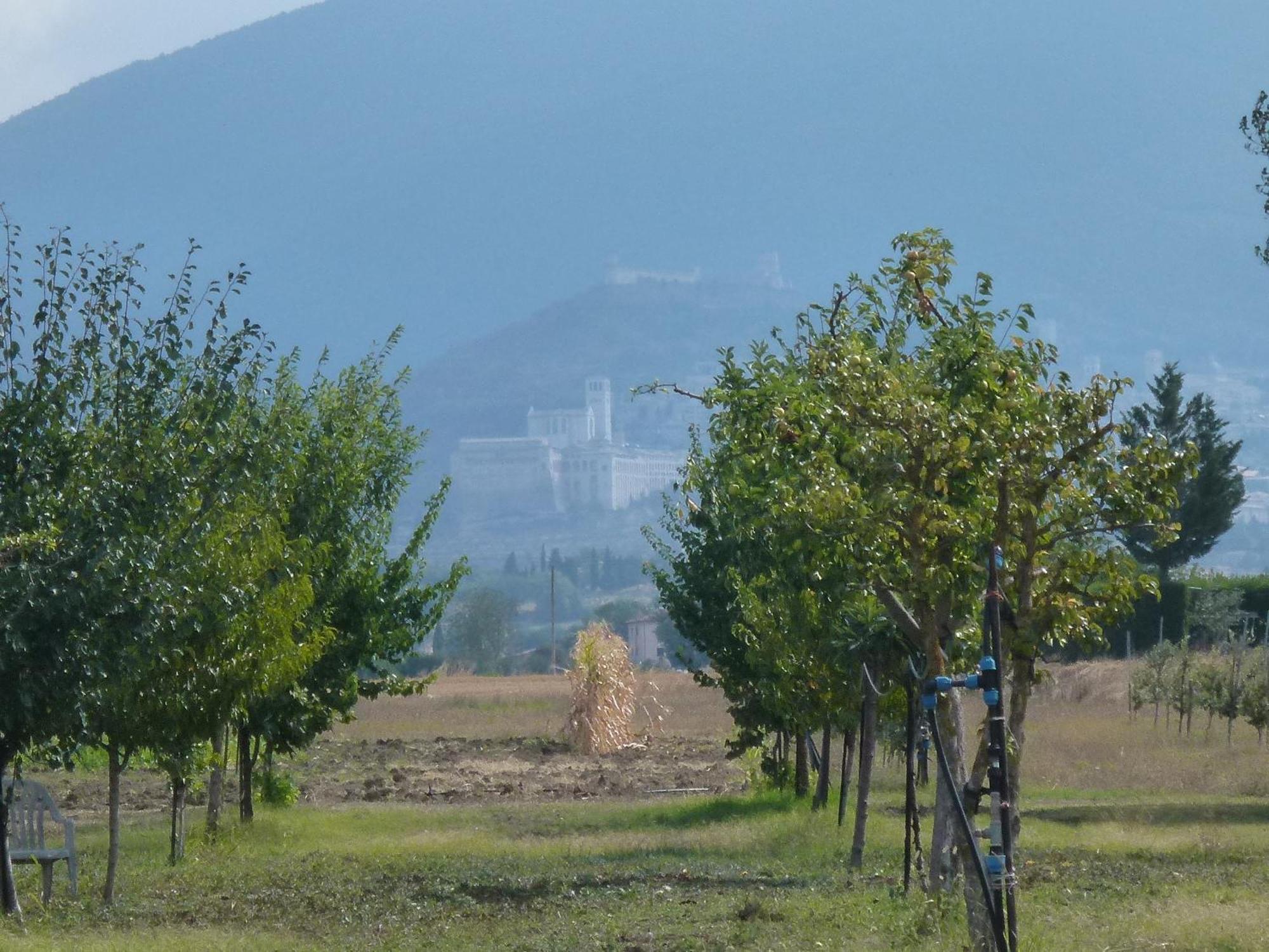 Campiglione Hotel Ασίζη Εξωτερικό φωτογραφία